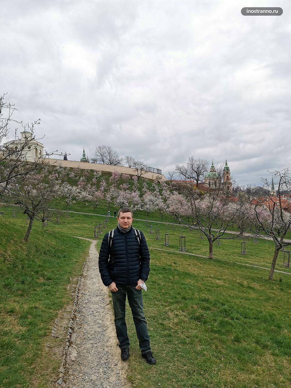 Март в Праге погода и цветение