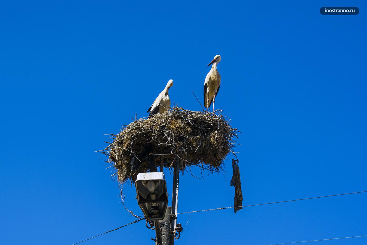 Национальный заповедник Поморийское озеро