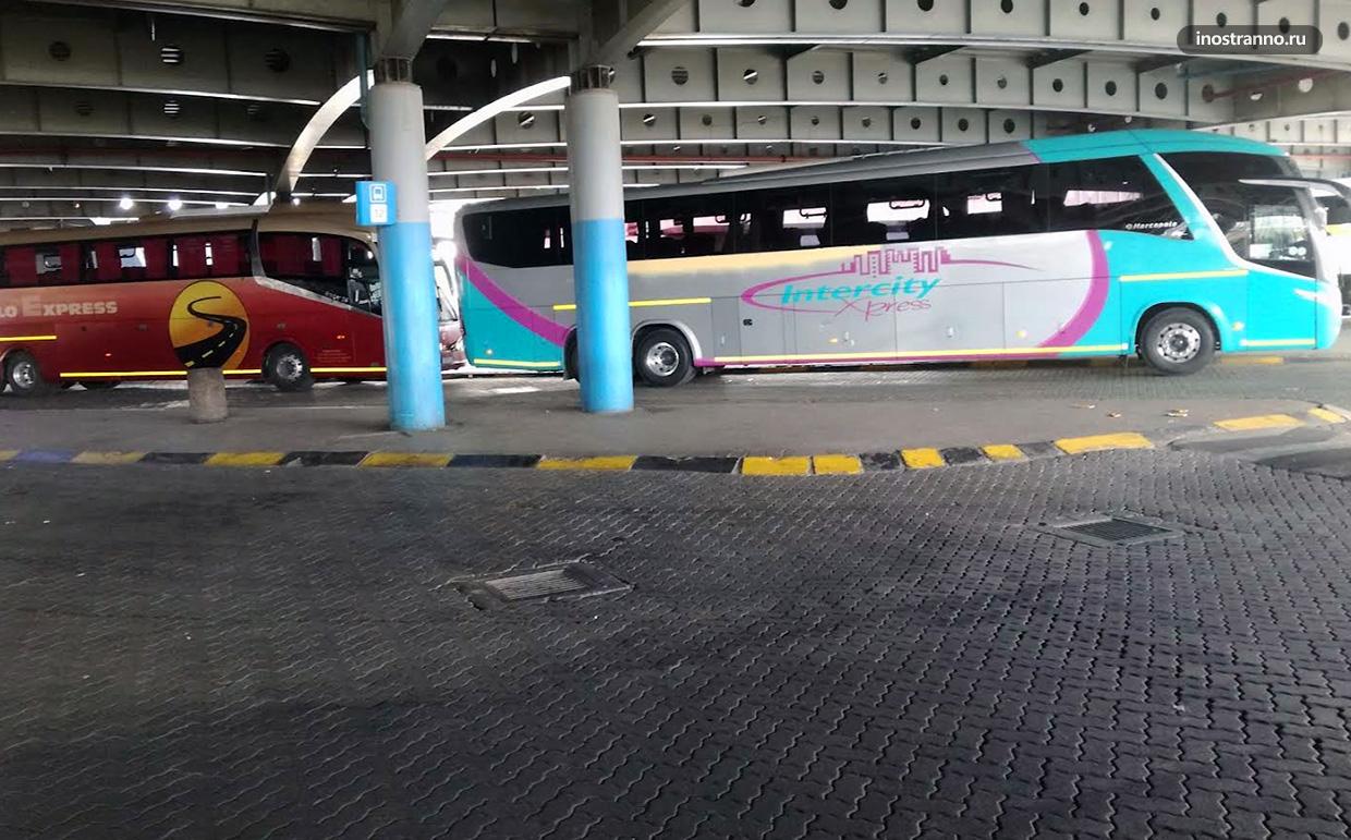 Автобус из аэропорта Йоханнесбург до центра