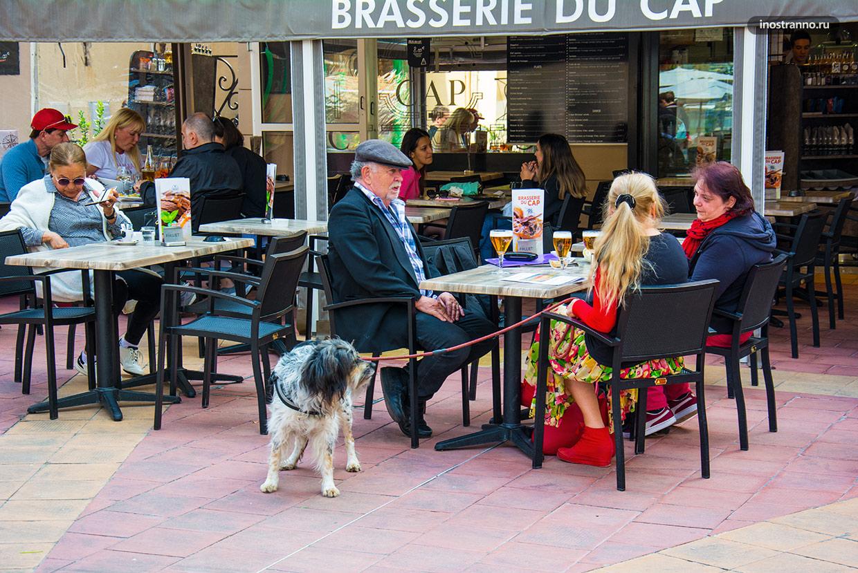 Кафе во Франции фото посетителей