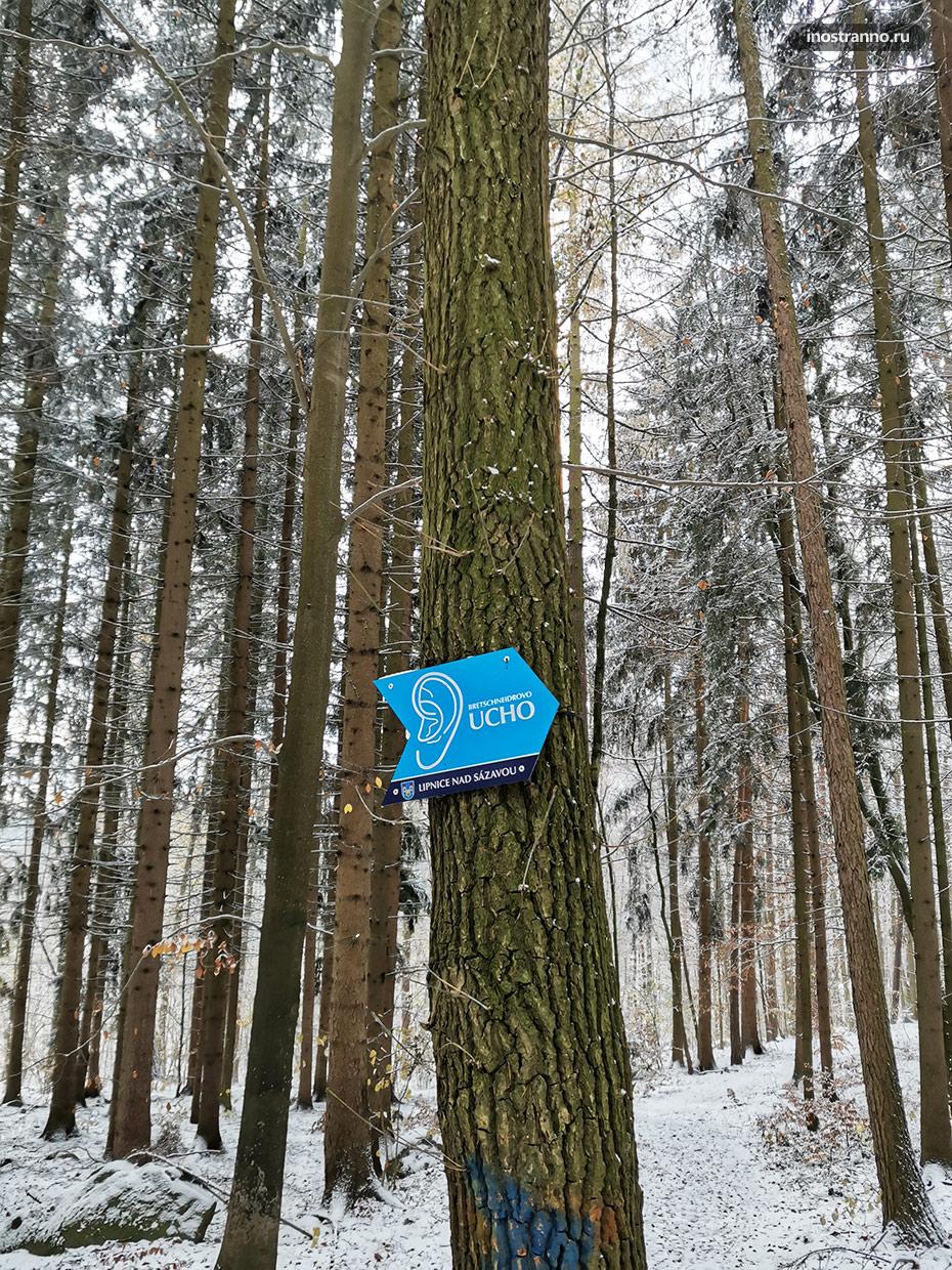Прогулка по чешскому лесу
