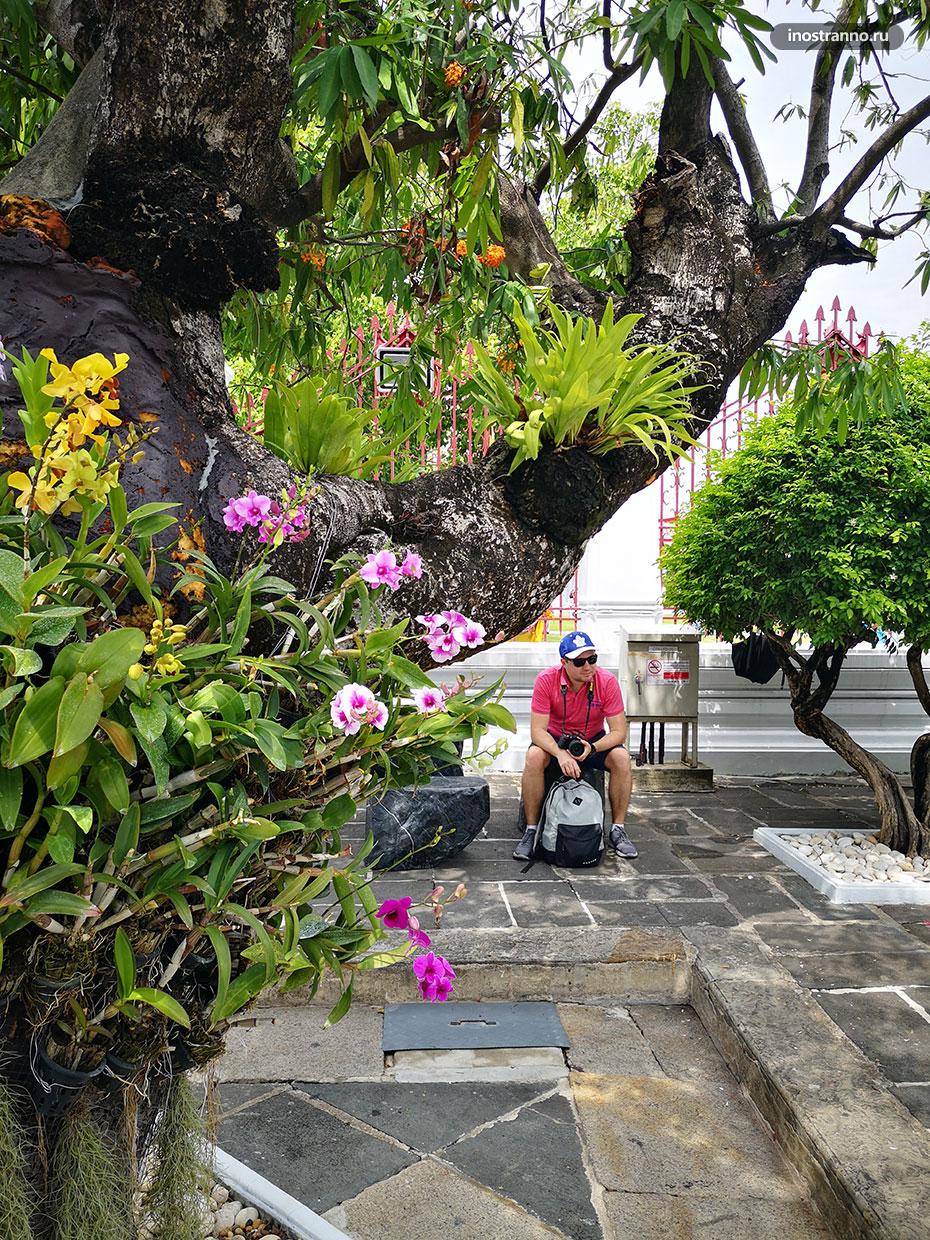 Красивый парк в Бангкоке