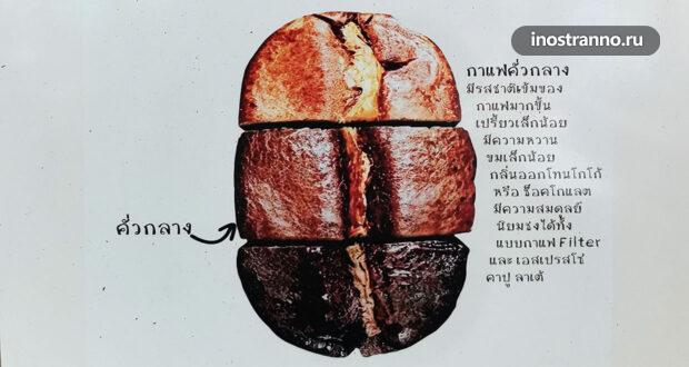 Дегустация кофе на кофейной плантации в Таиланде